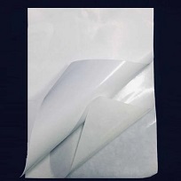 ˫ֽ
